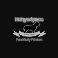 Michigan Spinone image 1